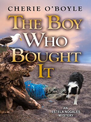 cover image of The Boy Who Bought It